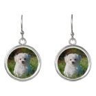 Photo faite sur commande de chien