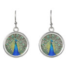 Plumage bleu Peacock