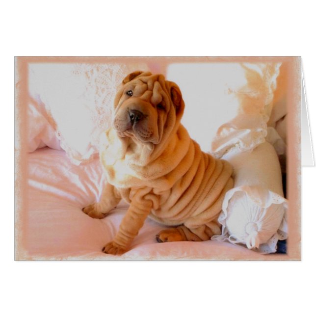 Boudoir (Front Horizontal)