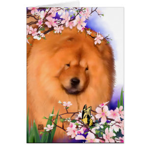 Bouffe de heARTdog d'ANGIE
