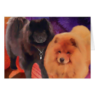 Bouffes de "SASHA ET de CASEY"