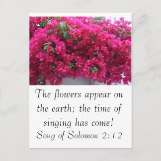 Bougainvilla - Scripture: Song of Solomon 2:12 Postcard