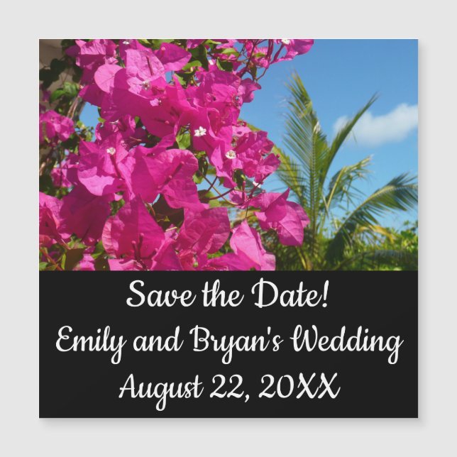 Bougainvillea and Palm Tree Tropical Nature Scene (Front)