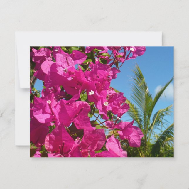 Bougainvillea and Palm Tree Tropical Nature Scene Card (Front)