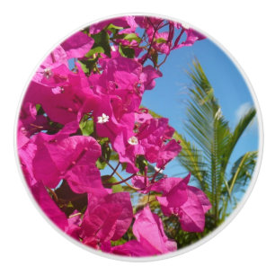 Bougainvillea and Palm Tree Tropical Nature Scene Ceramic Knob
