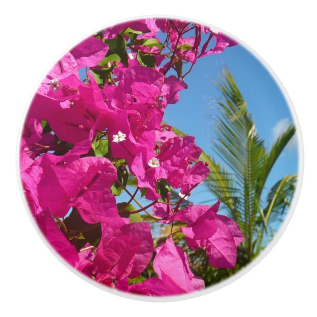 Bougainvillea and Palm Tree Tropical Nature Scene Ceramic Knob (Front)