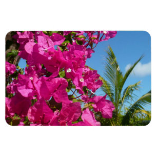Bougainvillea and Palm Tree Tropical Nature Scene Magnet