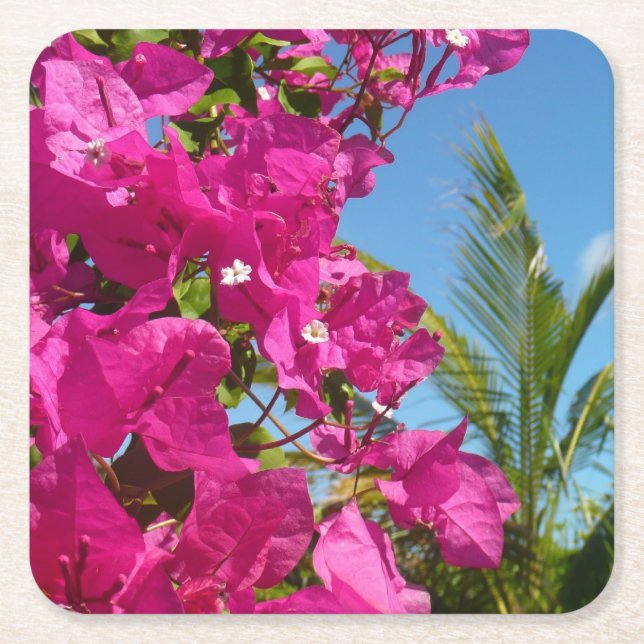 Bougainvillea and Palm Tree Tropical Nature Scene Square Paper Coaster (Front)