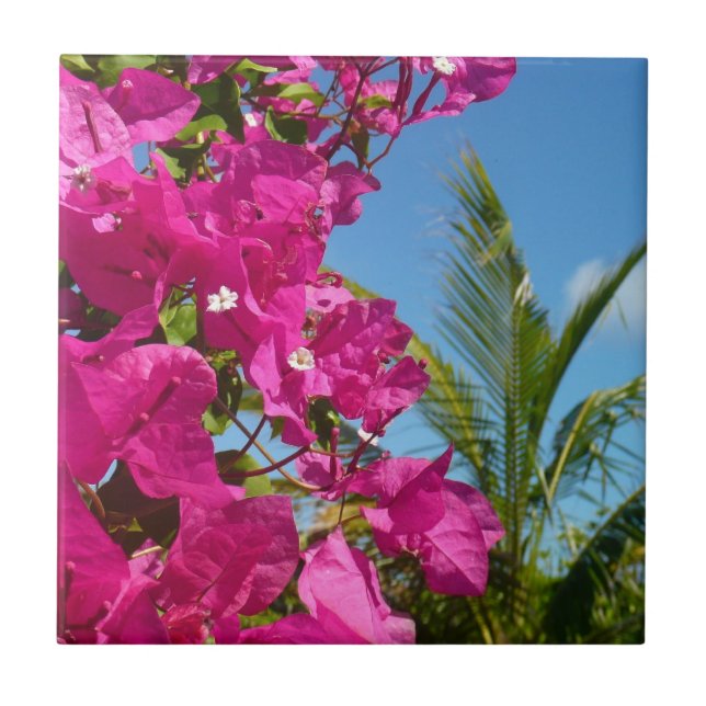 Bougainvillea and Palm Tree Tropical Nature Scene Tile (Front)