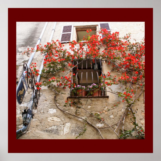 Bougainvillea at Window Poster (Front)