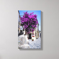 Bougainvillea