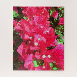 Bougainvillea Cascade Puzzle