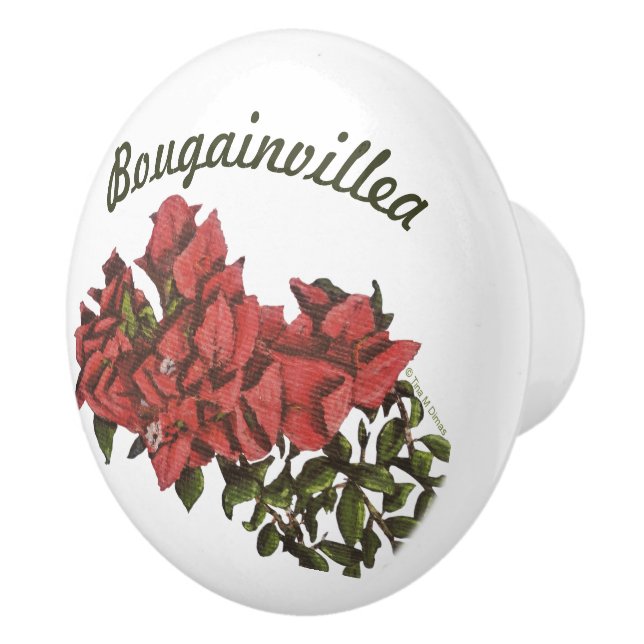Bougainvillea Ceramic Knob (Right)