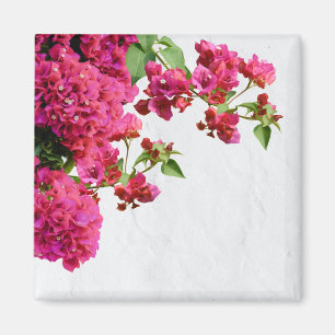 Bougainvillea Floral Mediterranean Greek Island Magnet