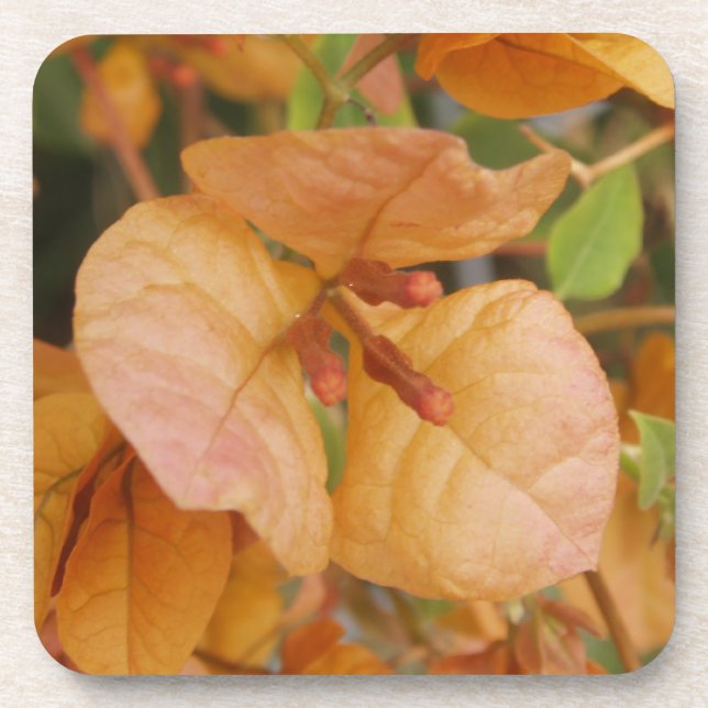 Bougainvillea Flower Coasters (Front)