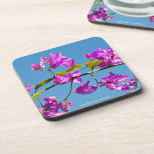 Bougainvillea Flowers Coaster
