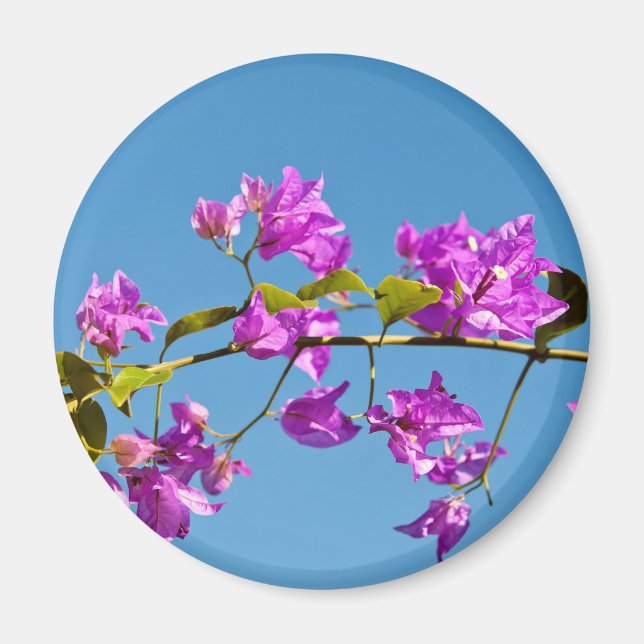 Bougainvillea Flowers Magnet (Front)