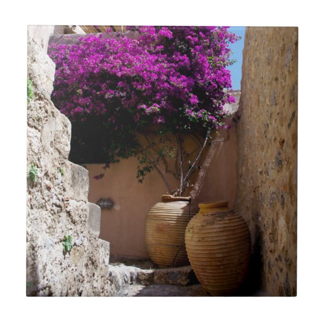 Bougainvillea in amphorah tile (Front)