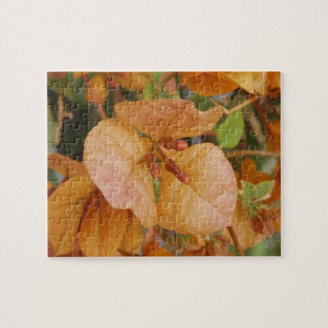 Bougainvillea Puzzle (Horizontal)