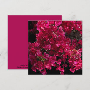 Bougainvillea Red Tropical Vining Shrub Photo  Card