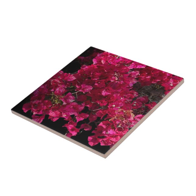Bougainvillea Red Tropical Vining Shrub Photo Tile (Side)