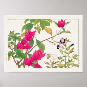 Bougainvillea, Wishbone flower by Tanigami Konan Poster