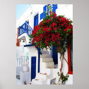 Bougainvilliers devant une maison, Grèce POSTER