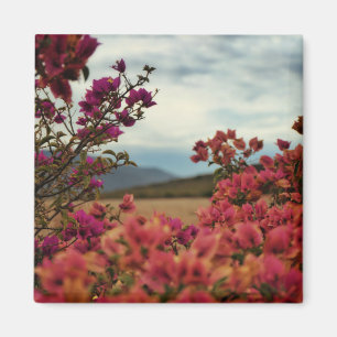 Bougainvilliers rouges roses Fleurs Magnet paysage