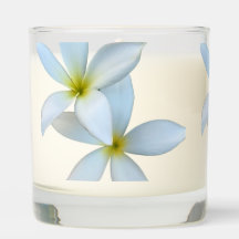Bougie parfumée à la flûte blanche Plumeria