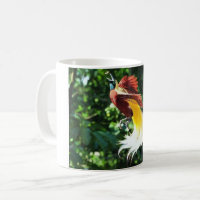 Bougs et tasses d'oiseaux de paradis