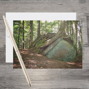 Boulder and Roots – Nature’s Resilience Photo Card