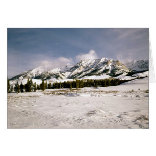 Boulder Mountain View