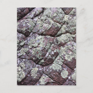 Bouldered Rocks with Lichen Moss Postcard