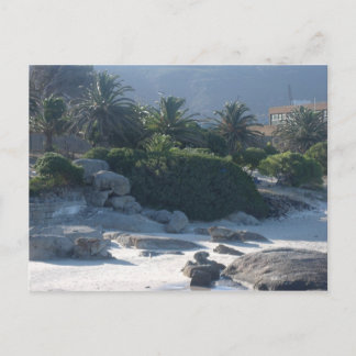 Boulders Beach - Cape Town Postcard