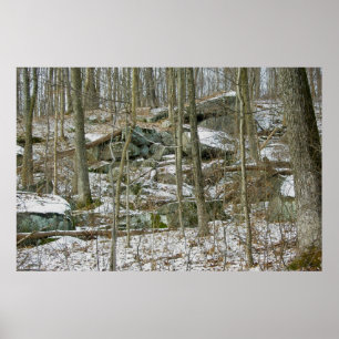 Boulders in Winter Woods Poster