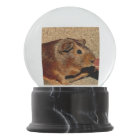 Cobaye de regard de Corkboard