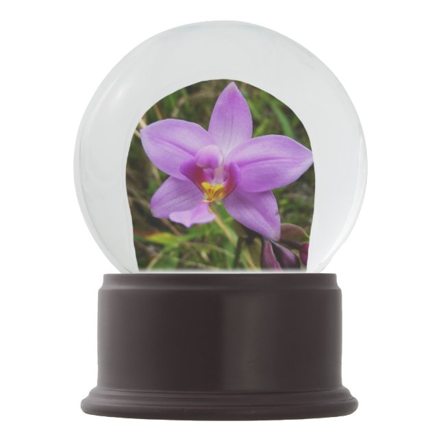 Boule À Neige Orchidée sauvage violette Fleur tropicale (Dos)