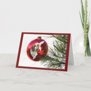 Boule cavalière de carte de Noël d'épagneul du Roi
