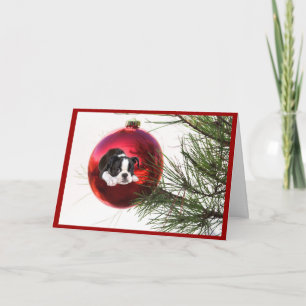Boule de carte de Noël de Boston Terrier