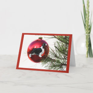 Boule de carte de Noël d'épagneul de springer
