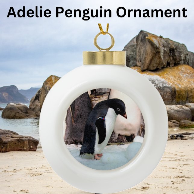 Boule En Céramique Adelie Penguin (Créateur téléchargé)