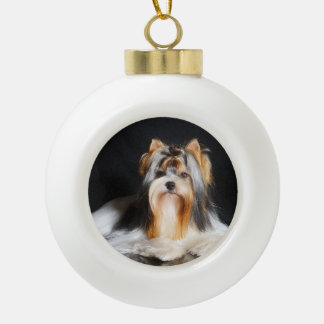 Boule En Céramique Biewer Terrier