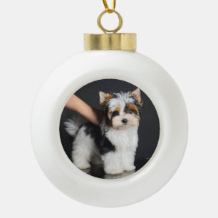 Boule En Céramique Biewer Terrier
