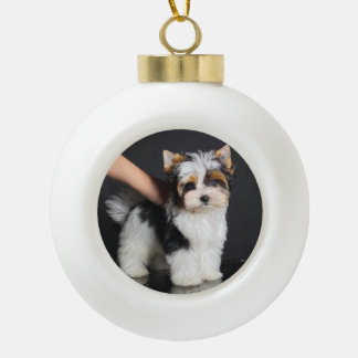 Boule En Céramique Biewer Terrier