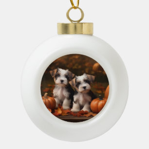 Boule En Céramique Biewer Terrier Chiot Automne Citrouille délice
