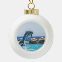Bottlenose Dolphin