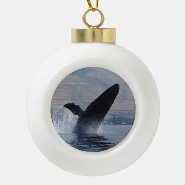 Boule En Céramique brèche de baleine à bosse (Devant)