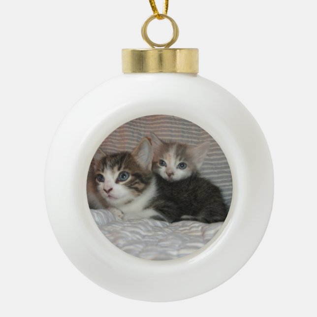 Boule En Céramique Chatons sur une couverture (Devant)