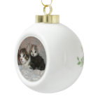 Chatons sur une couverture