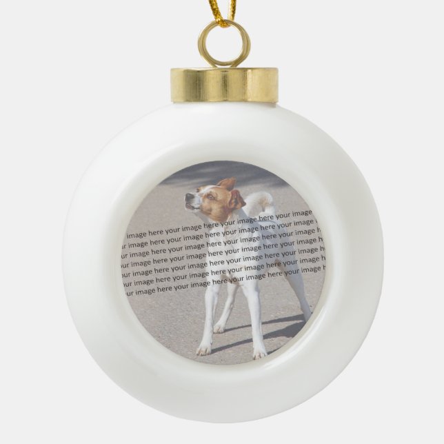 Boule En Céramique Chien Chat Oiseau Fab Extraordinaire Photo (Devant)